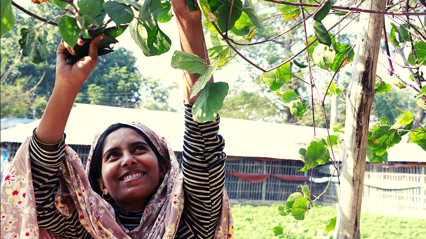 Climate Resilient Livelihood